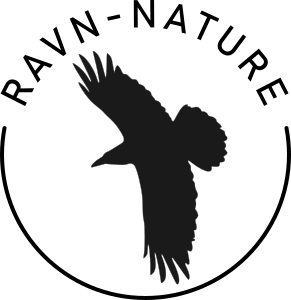 logo300px